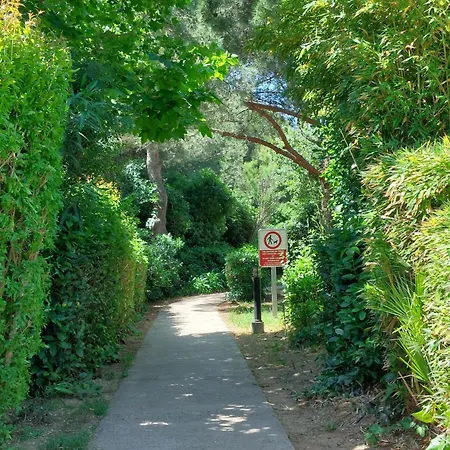 Les Rivages De Coudouliere-32 By Interhome Lägenhet *