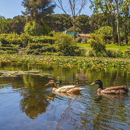 Lägenhet Les Rivages De Coudouliere-32 By Interhome